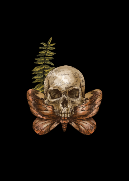 Embracing the Spirit of the South: A Journey Through Manifestye's Theme