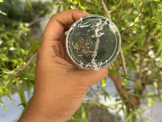 “Big Ballin’” – Money Candle