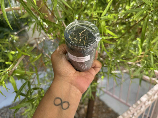 “You Tried It” – Protection Candle